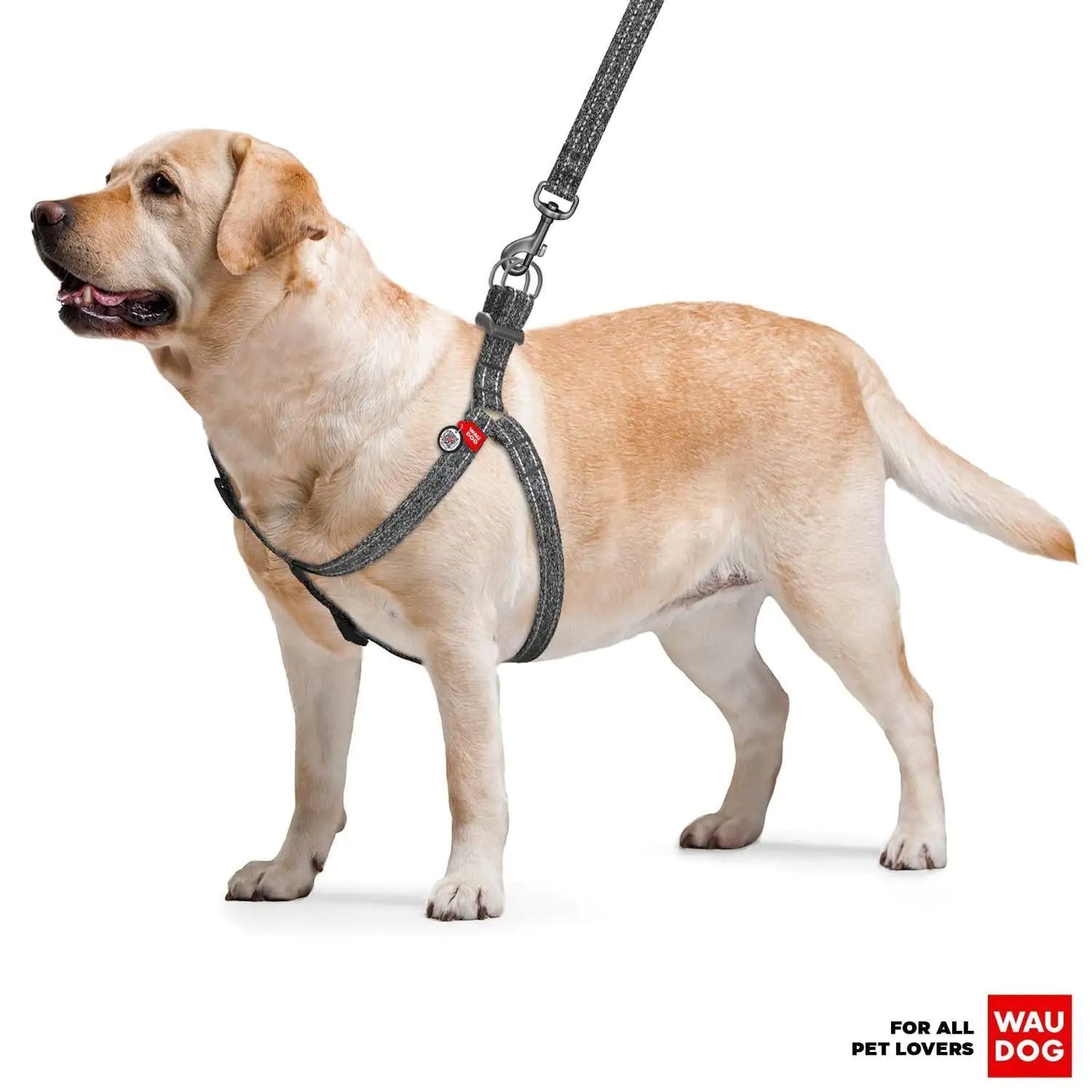 Grey Cotton Harness Large
