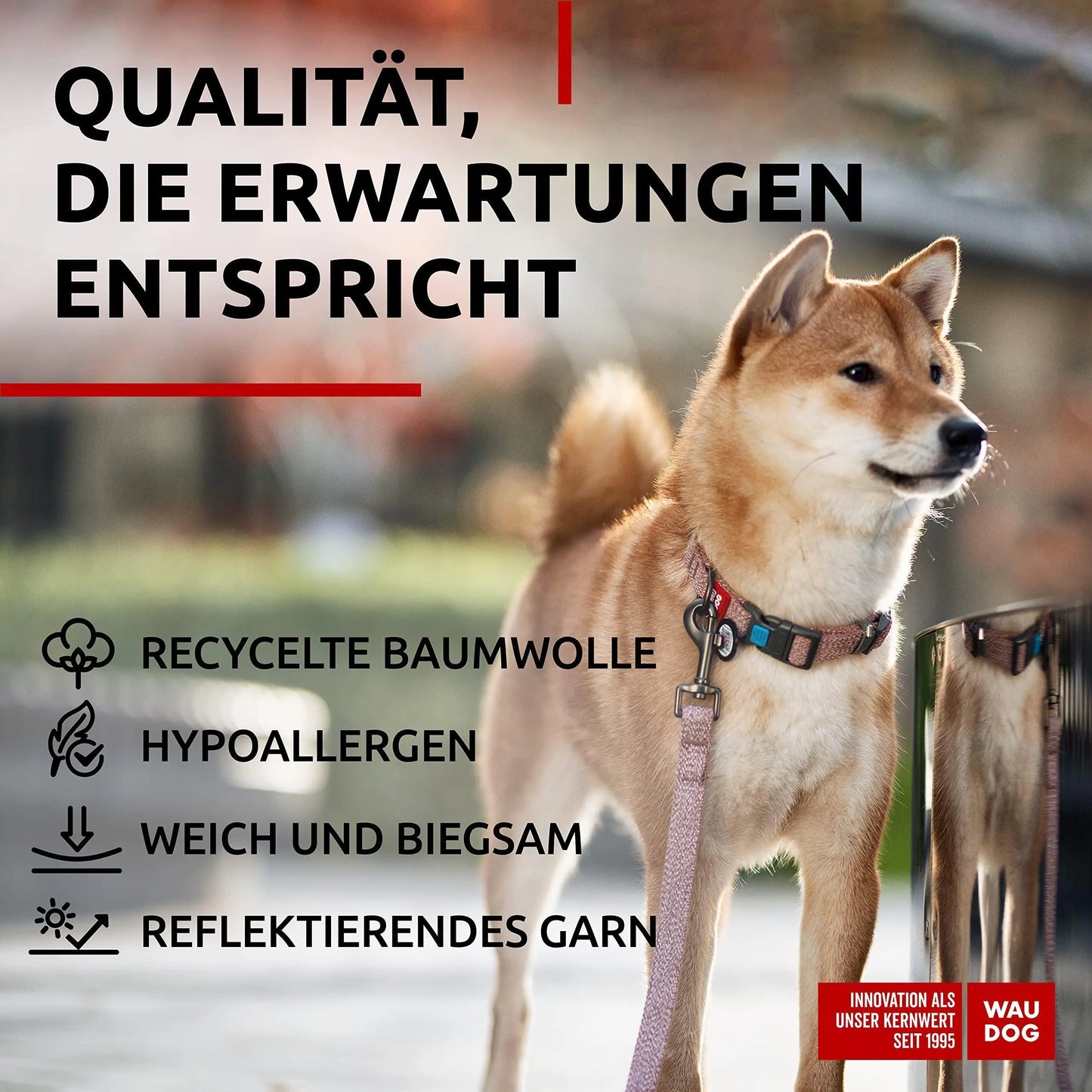 Brown Cotton Collar Medium