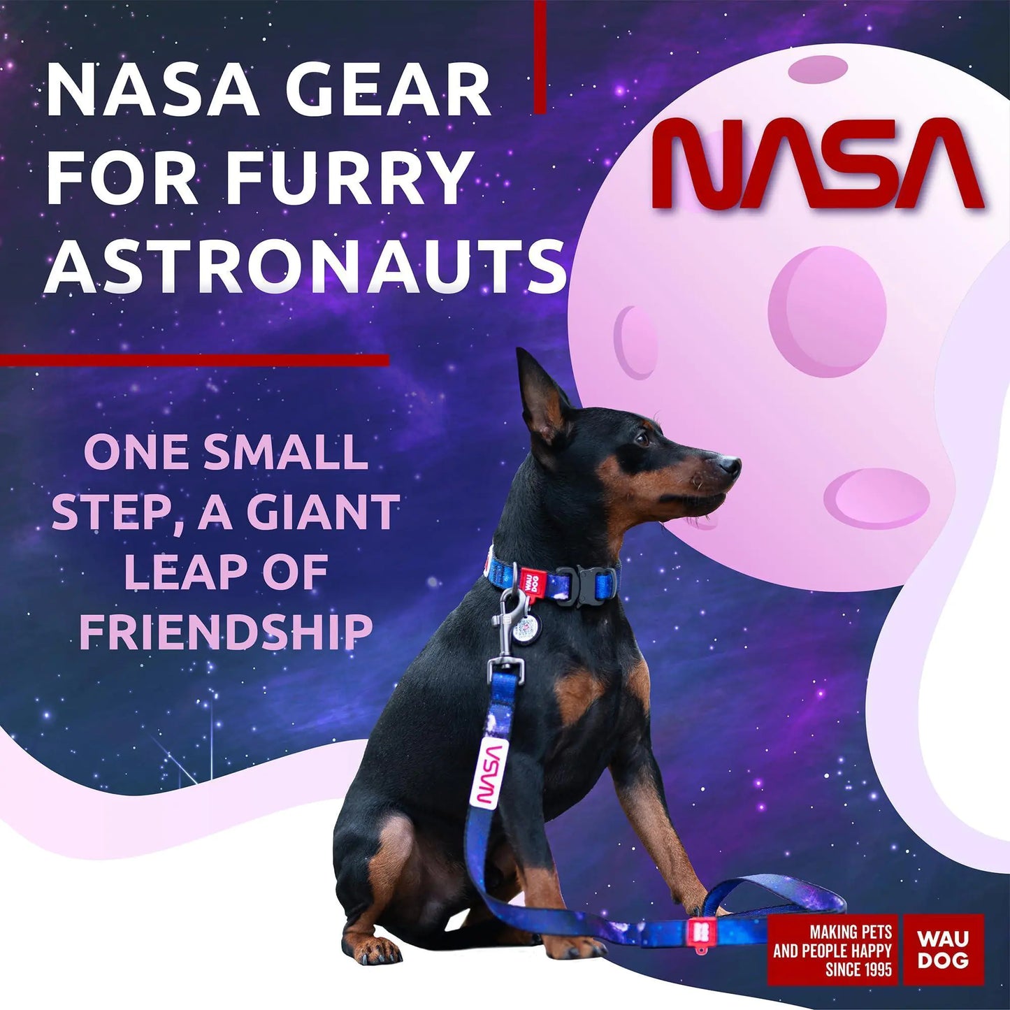 NASA Nylon Leash Small w Metal Clip