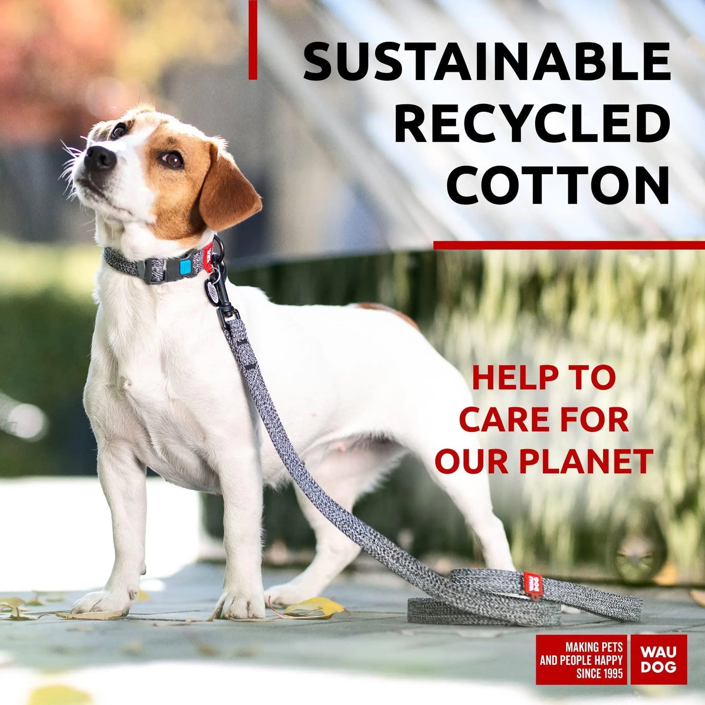 Grey Recycled Cotton Leash Long/Small w Metal Clip