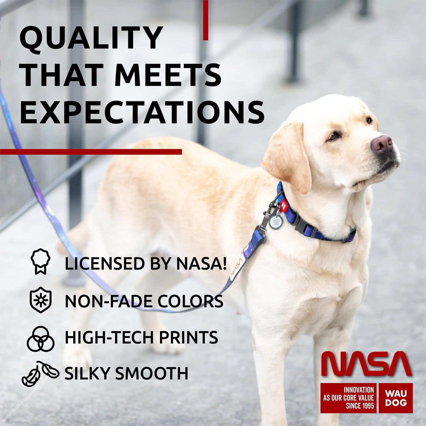 NASA Nylon Leash Large w Metal Clip