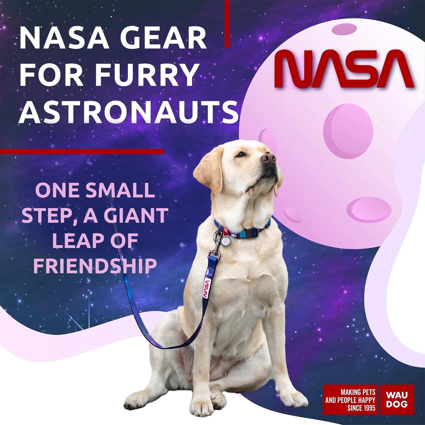 NASA Nylon Leash Large w Metal Clip