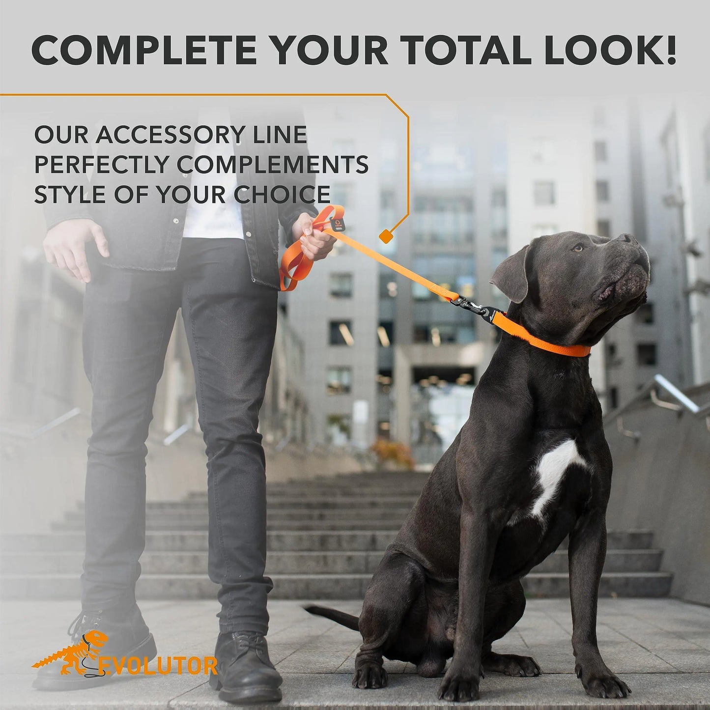 Orange CollarTex Leash Large w Carabiner