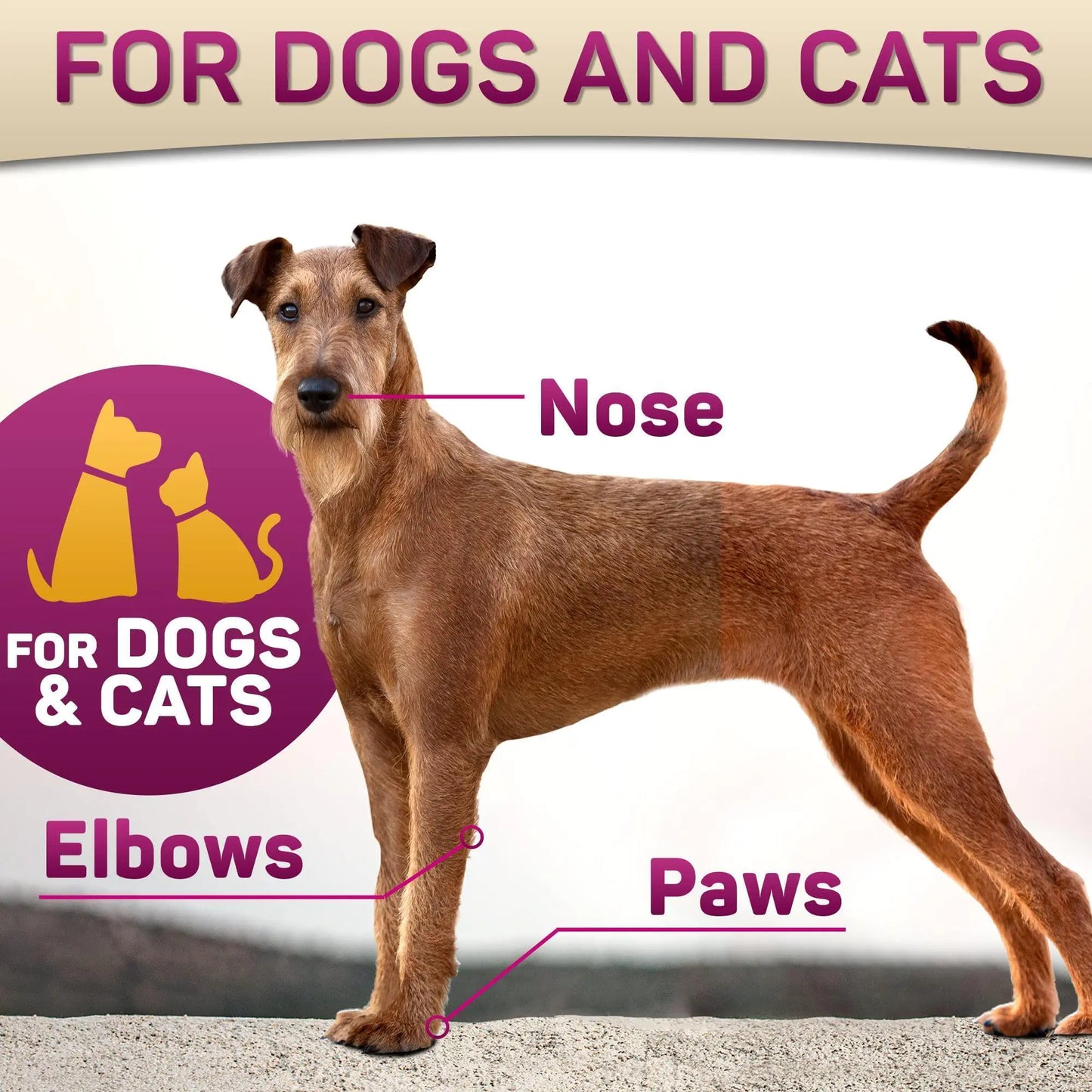 Dog Paw Pad and Nose Balm 2 oz