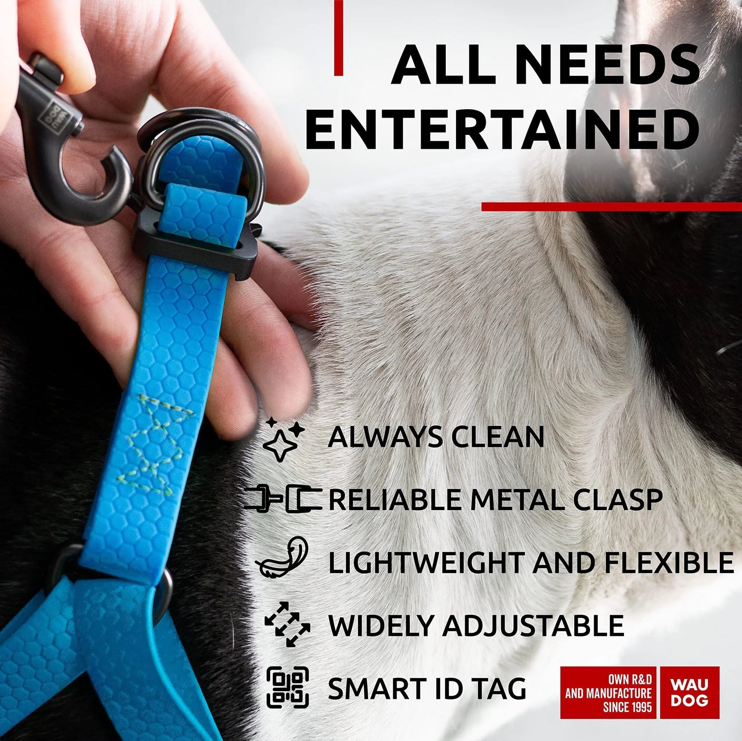 Blue CollarTex Harness Small