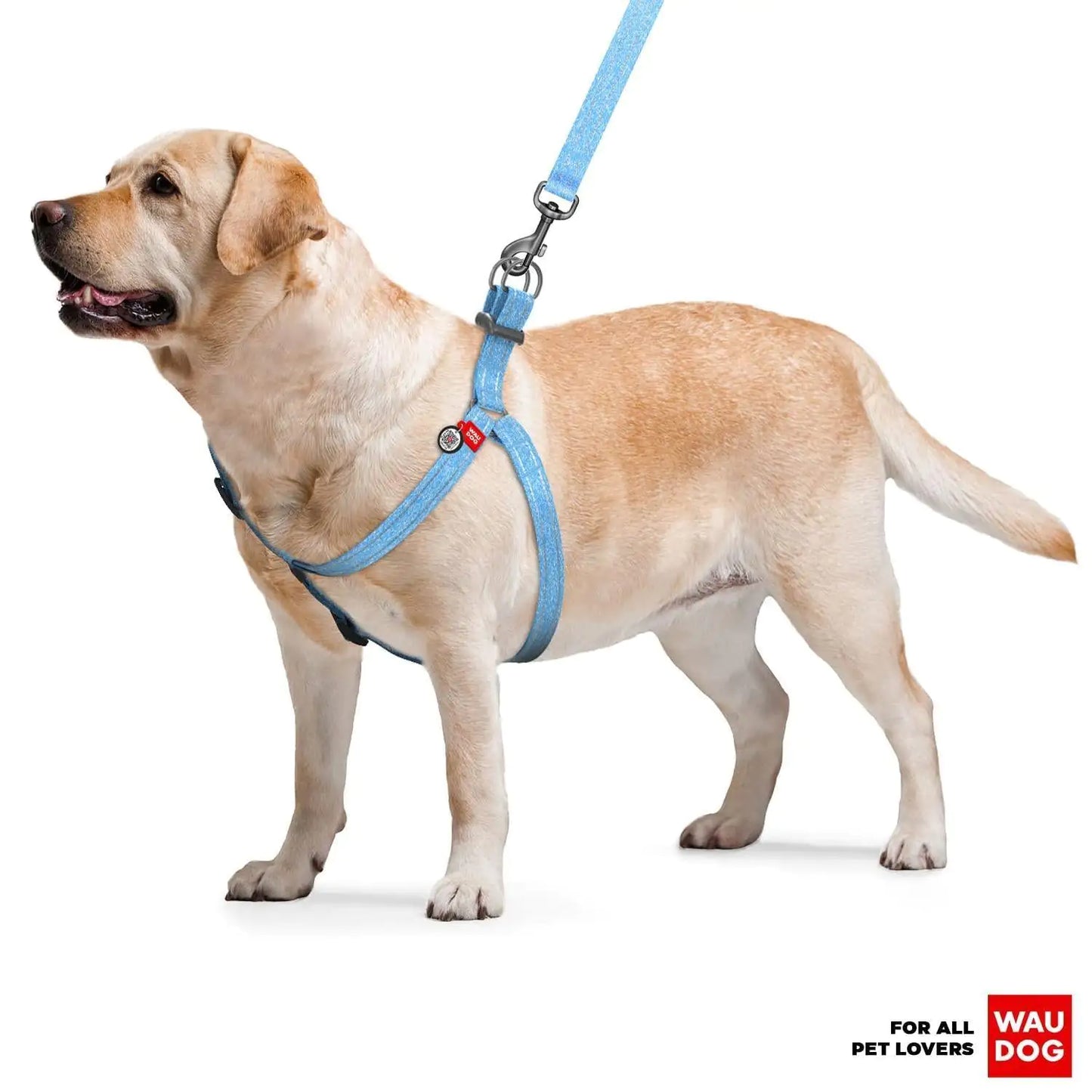 Blue Cotton Harness Medium