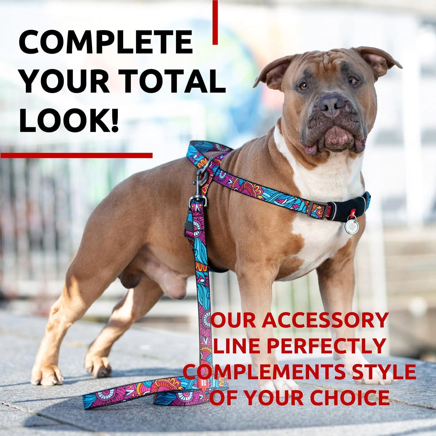 SUMMER Nylon Leash Large w Metal Clip