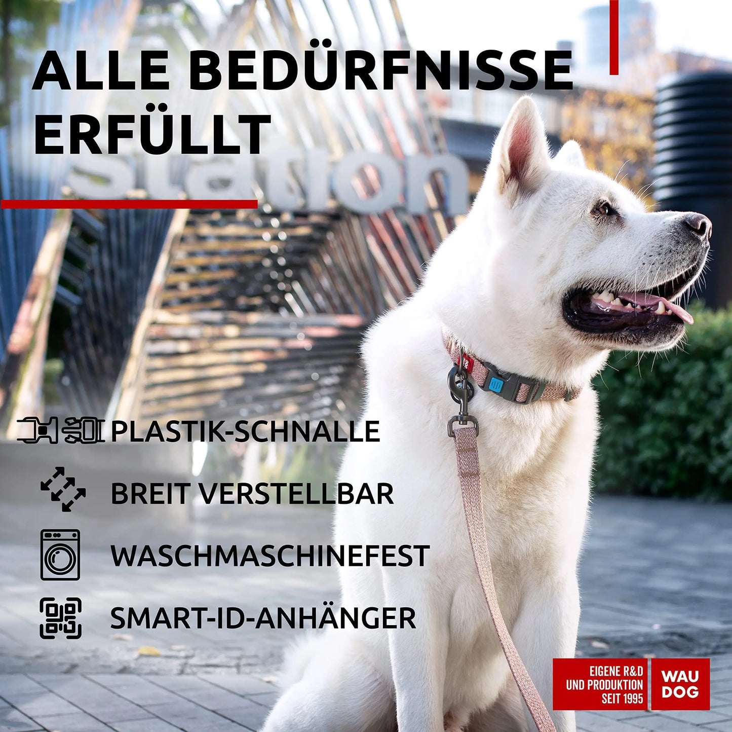 Brown Cotton Collar Extra Large