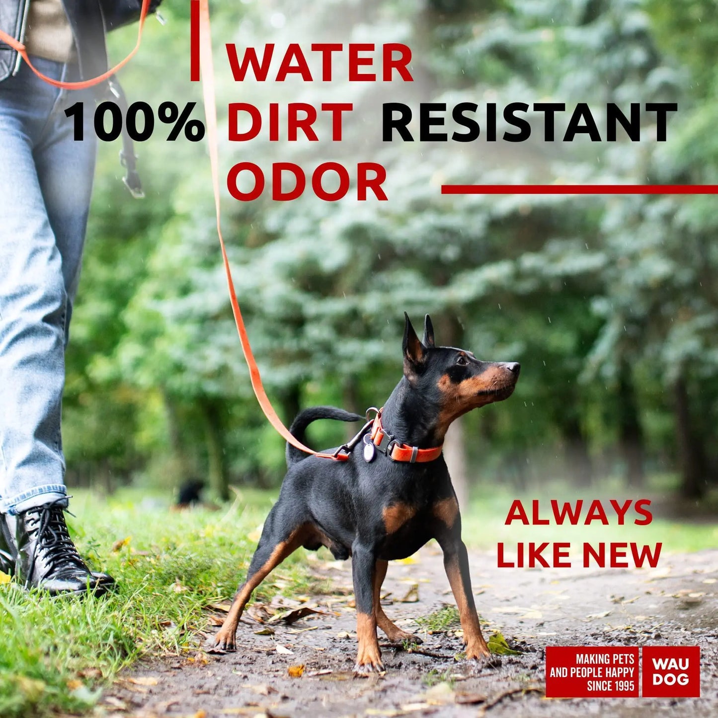 Orange Waterproof Leash Long/Small w Metal Clip